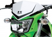 Kawasaki KLX250